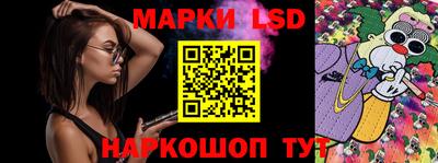 стафф Можга